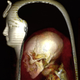 A CT scan of Amenhotep I’s body inside its wrappings.